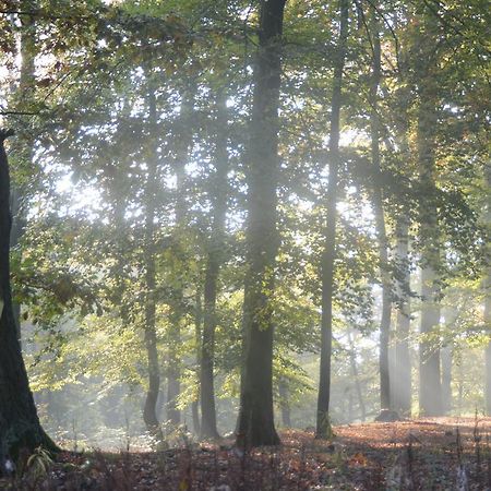 Ferienwohnung Deutschmann Dahlen Exteriör bild
