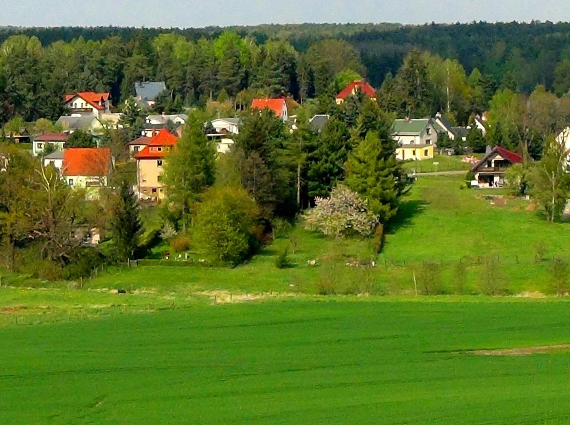 Ferienwohnung Deutschmann Dahlen Exteriör bild