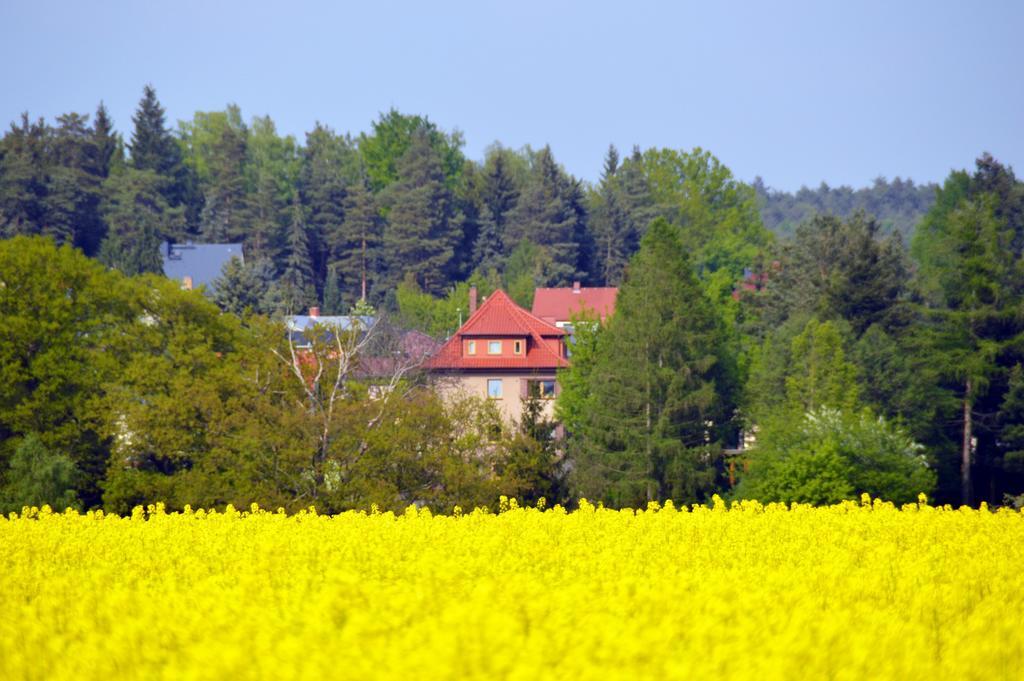 Ferienwohnung Deutschmann Dahlen Rum bild