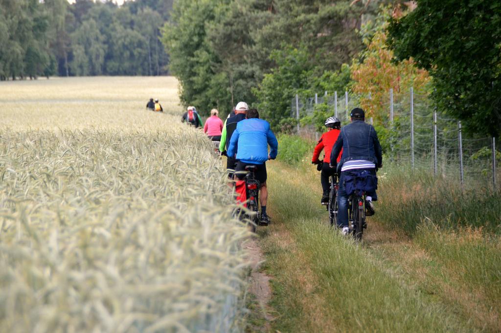Ferienwohnung Deutschmann Dahlen Exteriör bild