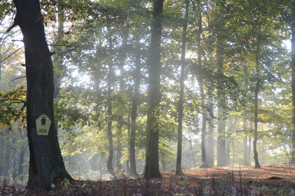 Ferienwohnung Deutschmann Dahlen Exteriör bild